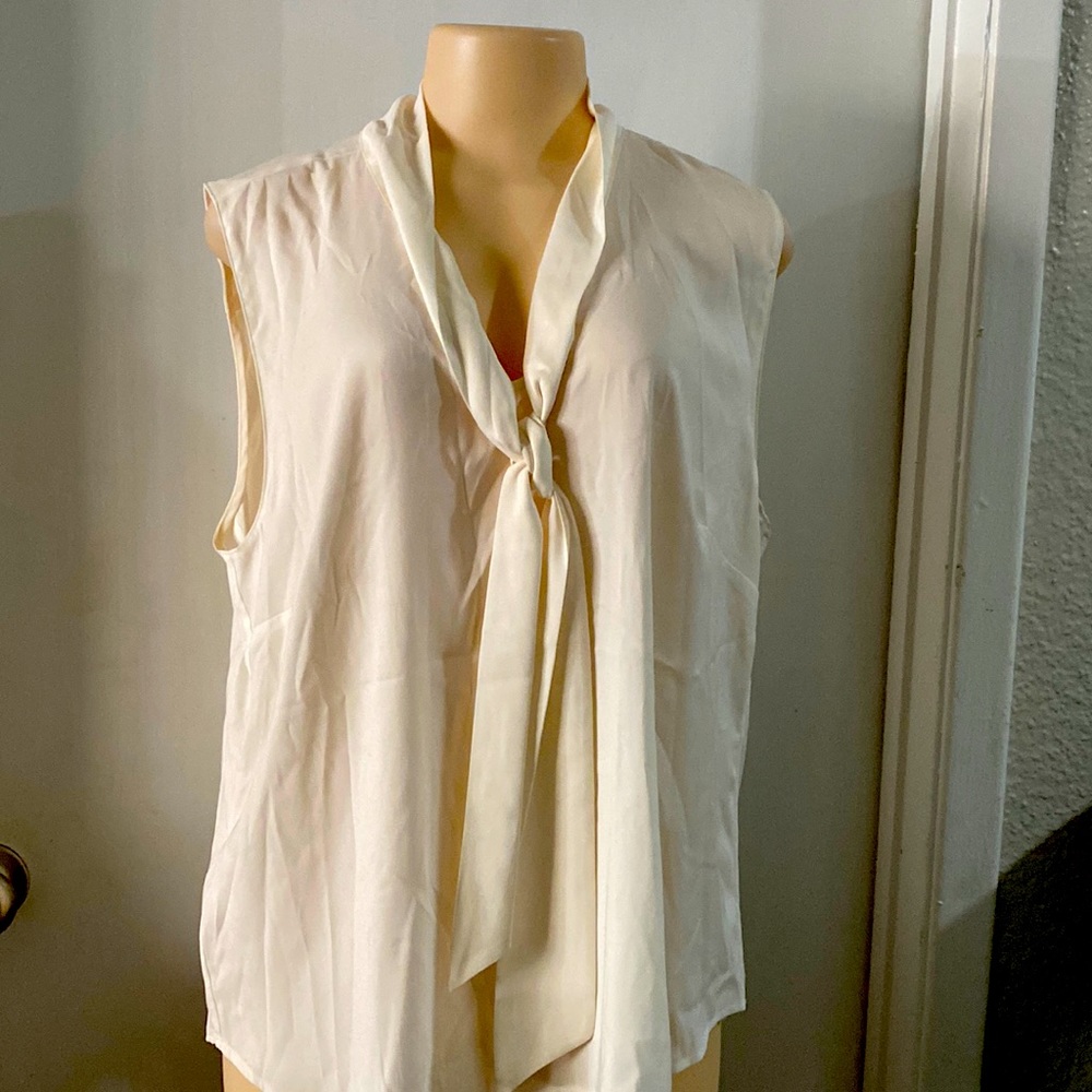 Ann Taylor top New with tag